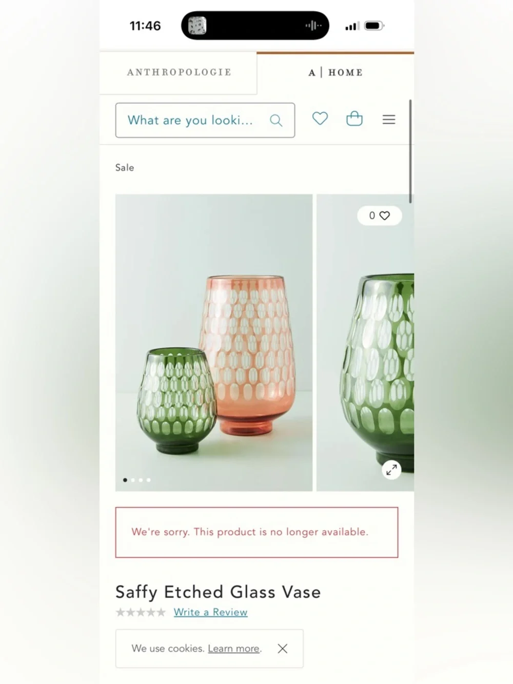 Anthropologie Etched Glass Thumbprint Pink Vase Decor MCM Boho Rose Floral SAFFY